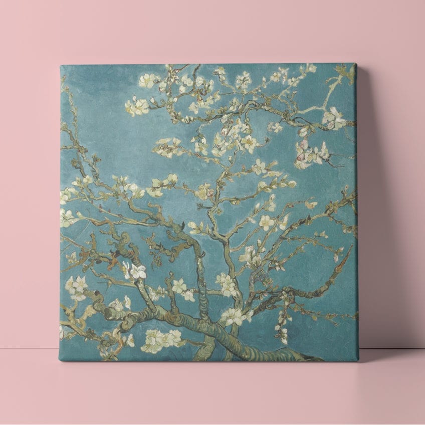 almond blossoms canvas
