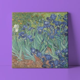 irises painting