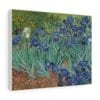 irises canvas paintings